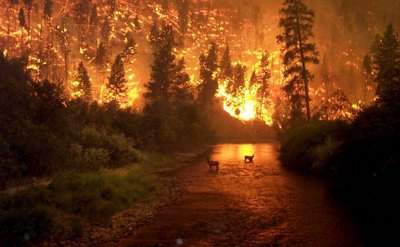 Δέκα χρόνια με αναστολή στον πρώην νομάρχη Ηλείας