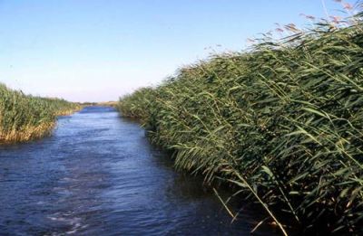 «Όχι» στην κατεδάφιση των καλυβών στο Δέλτα του ποταμού Έβρου