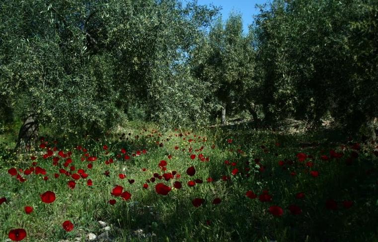 «Από τον κήπο εν κινήσει στον Πλανητικό Κήπο»