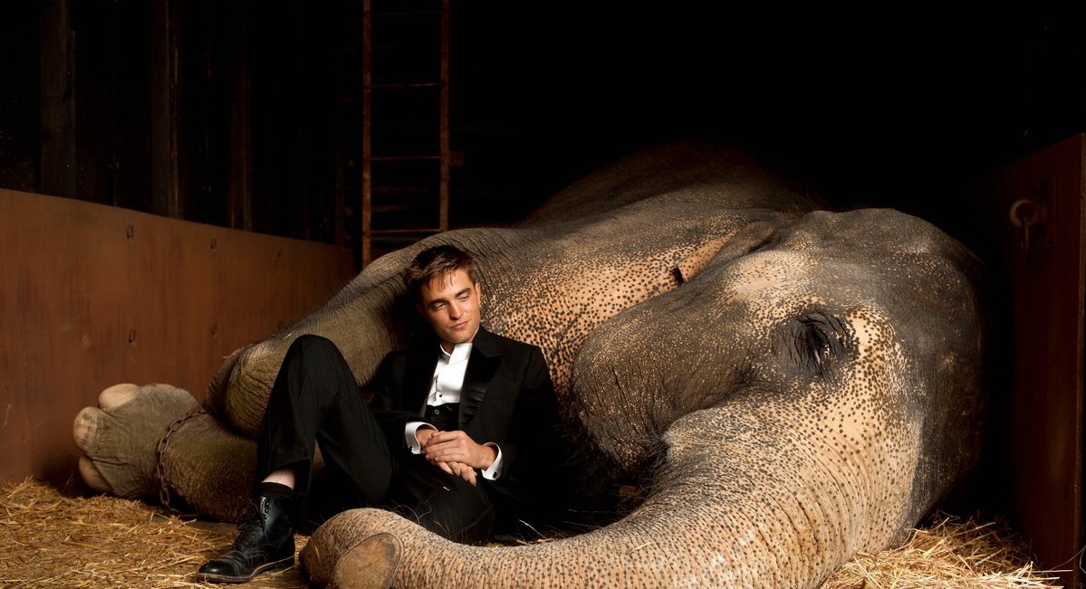 Εν αναμονή του «Water for elephants»…