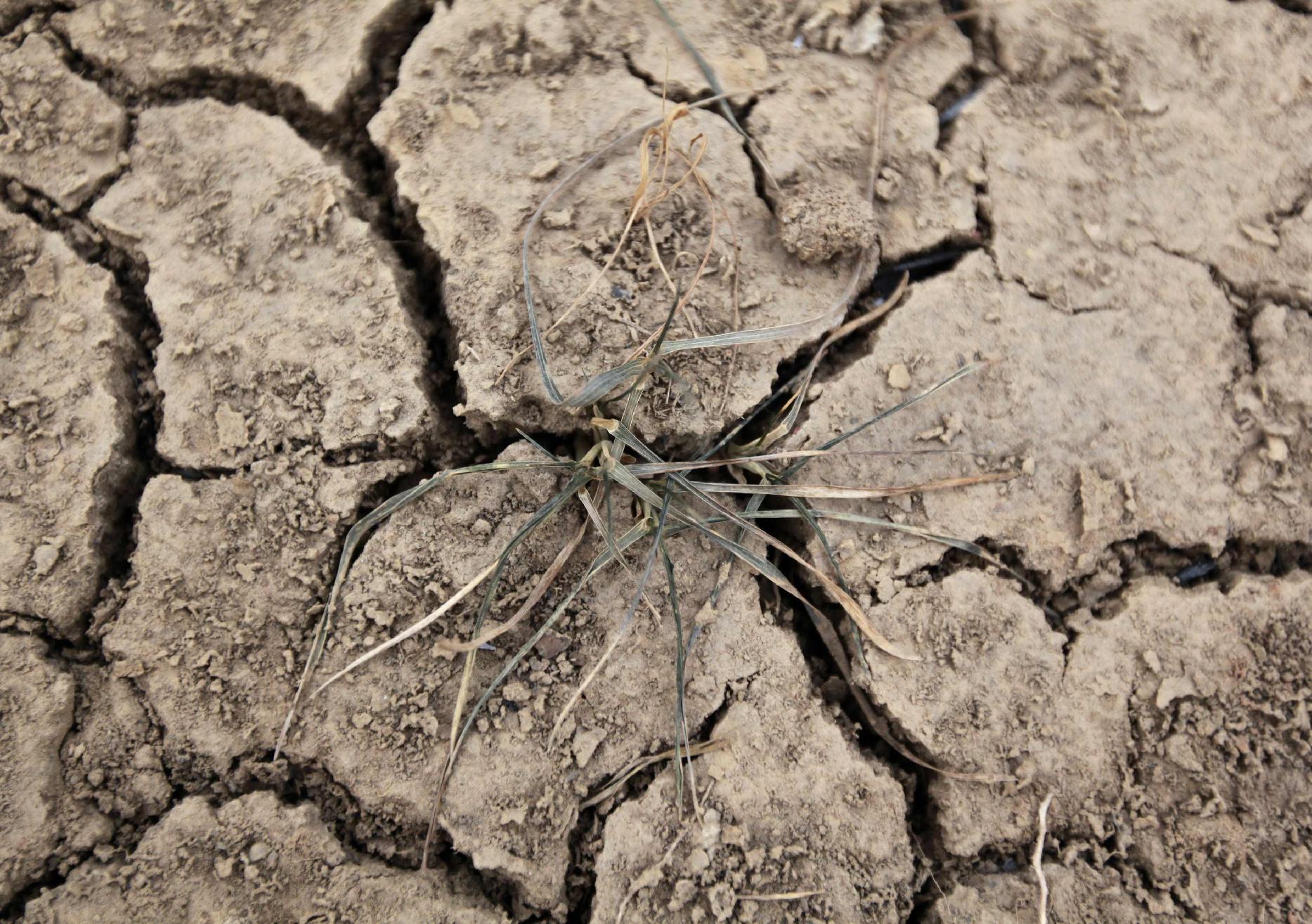 Ανησυχία για την ξηρασία στη Νότια Ευρώπη
