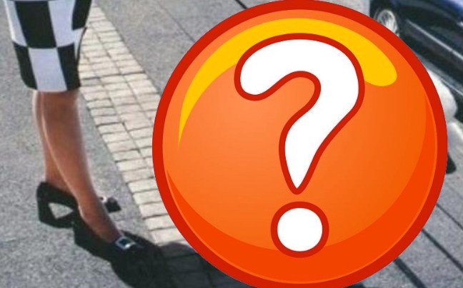 Σκύλος… κυβισμού