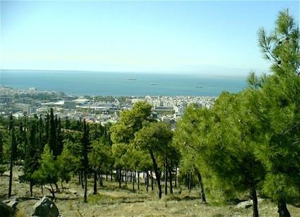 Σχέδια για την αντιπυρική θωράκιση του Σέιχ Σου