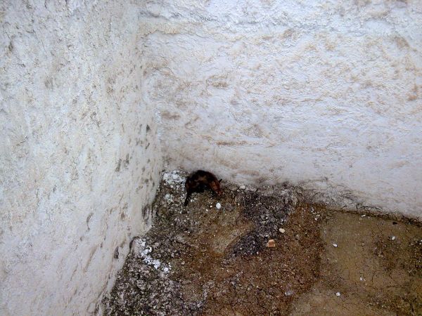 Απρόσεχτη η… κυρά Μάρω!