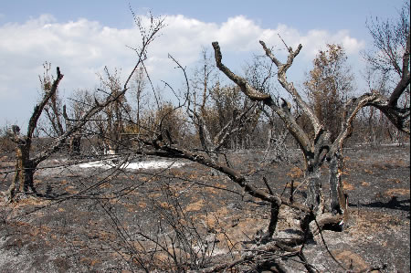 Θα πάρουν την αποζημίωση μετά από 4 χρόνια