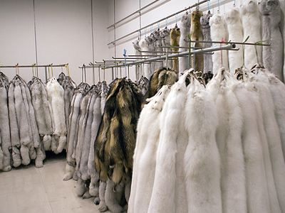 Παρατράγουδα στην πορεία κατά της χρήσης γούνας