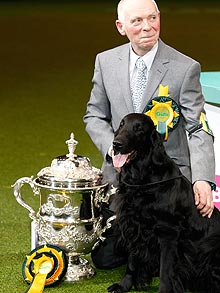 Retriever κέρδισε το Crufts