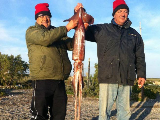 Γιγάντιο καλαμάρι στην Ιεράπετρα