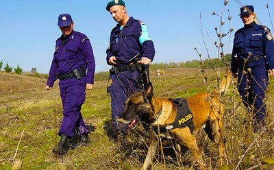 Δουλέμπορος μαχαίρωσε αστυνομικό σκύλο