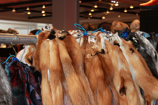 Σε οικονομική ανάσα ελπίζουν οι γουναράδες της Καστοριάς στο 3ο Fur Shopping Festival