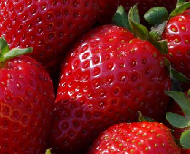 Ισχυρές αντηλιακές ιδιότητες έχουν οι φράουλες