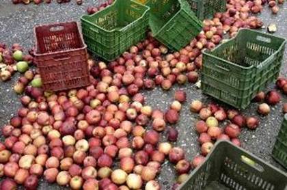 «Κόλλησε» το θέμα των αποζημιώσεων των μηλοπαραγωγών