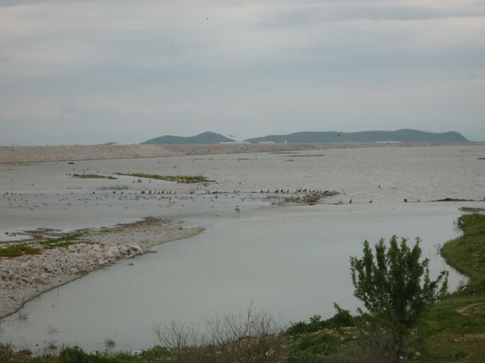 Απειλείται οικισμός από την άνοδο της στάθμης στη λίμνη Κάρλα