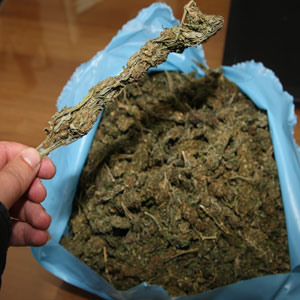 Κατασχέθηκαν 210 κιλά μαριχουάνα στην Αλβανία