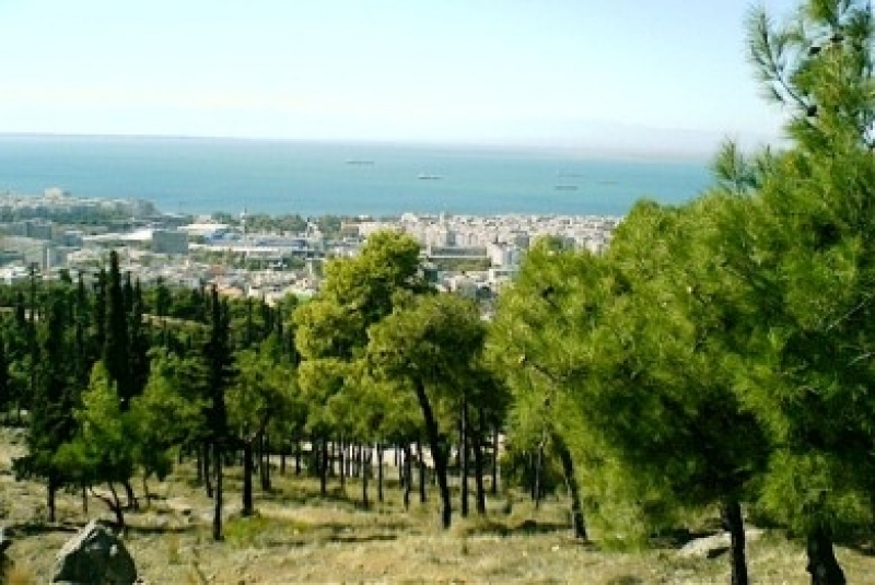 Αυτήν την Κυριακή καθαρίζουμε το Σέιχ-Σου