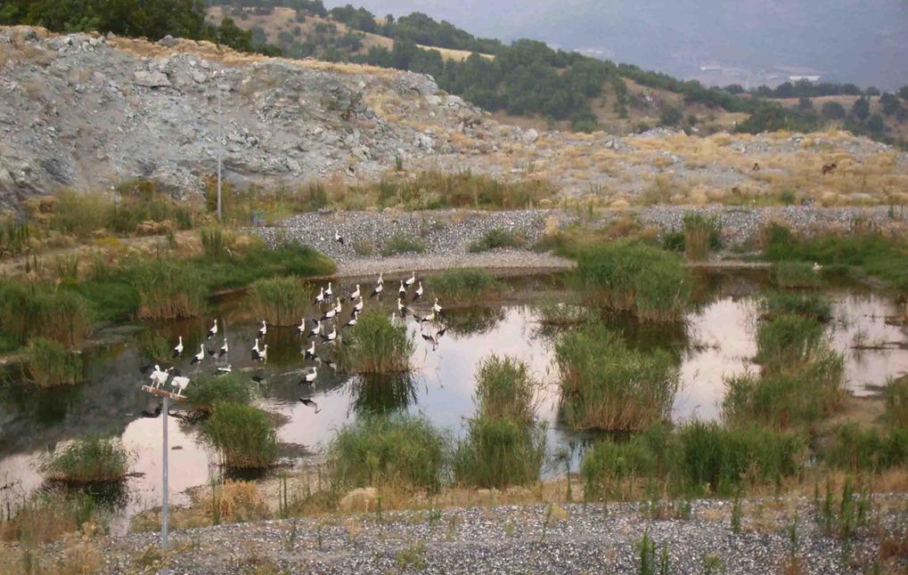 Θα πάρουν τα όπλα για το ΧΥΤΥ