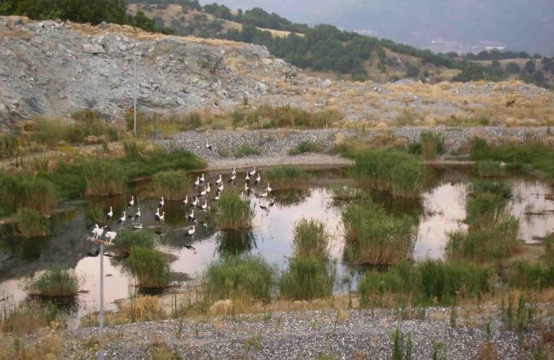 Ανιχνεύτηκαν ραδιενεργά υλικά στον ΧΥΤΑ Μαυροράχης