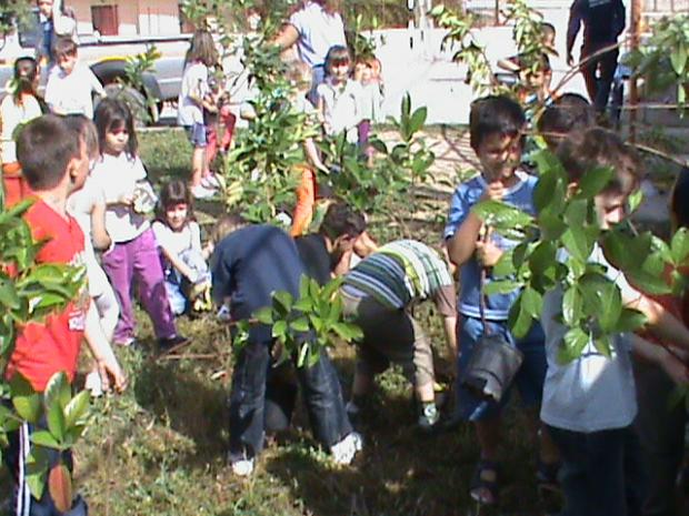 Μετέτρεψαν την αυλή του σχολείου σε&#8230; κήπο!