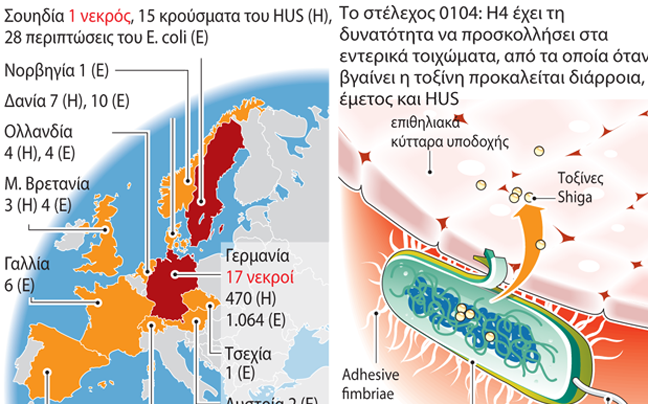 Ακόμα ένας θάνατος από το βακτήριο E.coli