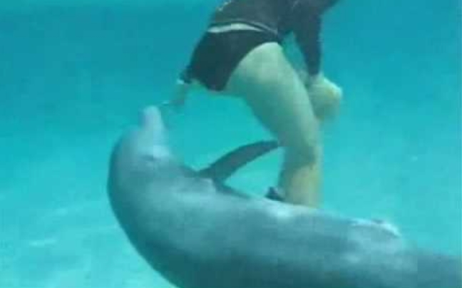 Κολυμπώντας με&#8230; πονηρό δελφίνι