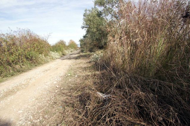 Έφοδος στα Καλύβια για την υπόθεση των υποβρυχίων