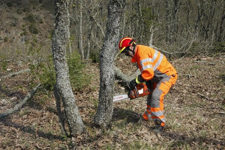 Ποσό 3,7 εκ. ευρώ για αντιπυρική προστασία στη Μακεδονία-Θράκη