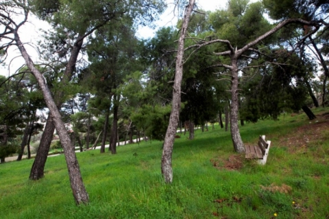 Εφτάωρη διακοπή κυκλοφορίας κοντά στα δάση