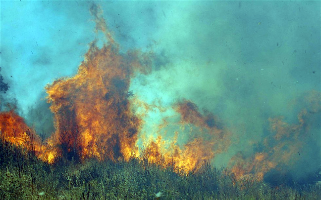 Πυρκαγιά στη Φραγκαβίλα Αμαλιάδας