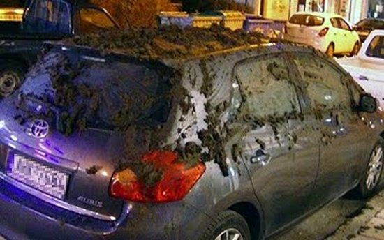 Στόχος… κοπριάς βουλευτής του ΠΑΣΟΚ στη Βέροια!