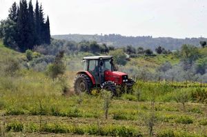 Αποζημιώνονται από τον ΕΛΓΑ 2.631 αγρότες