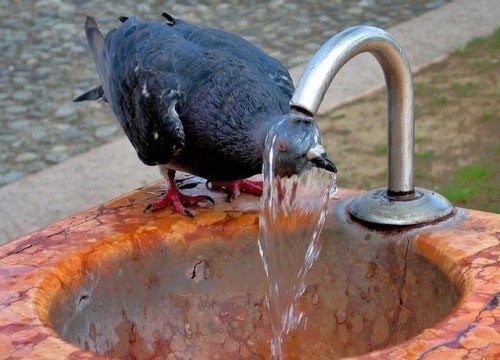 Κλιματική αλλαγή πίσω από τους καύσωνες