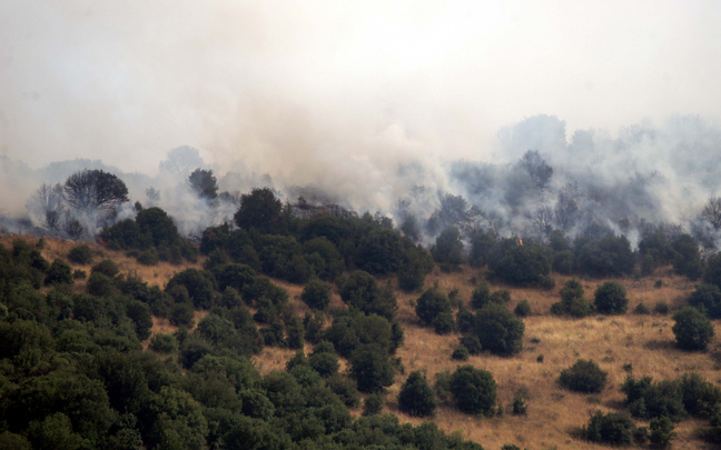 Πυρκαγιά ξέσπασε στην Κερατέα