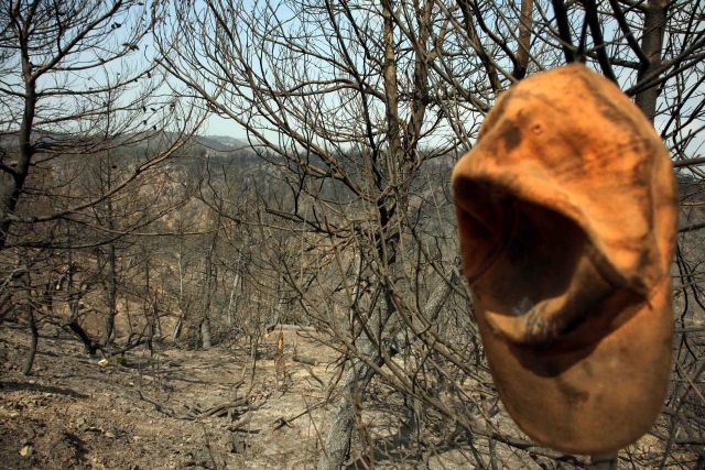 Δήμος Πεντέλης εναντίον Τουρκίας για τις πυρκαγιές