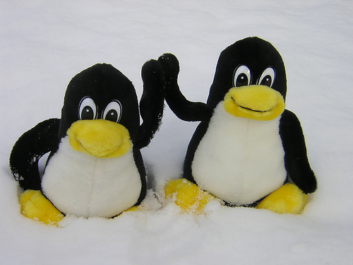 Tις 8.000 έφτασαν οι developers του Linux