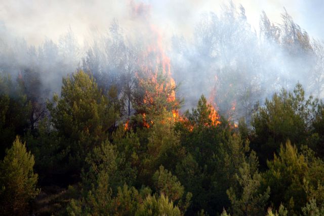 Σε εξέλιξη πυρκαγιά στην Κύθνο