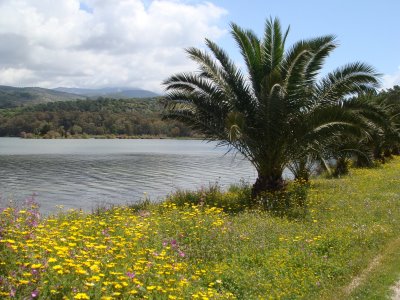 Beach bars κοντά σε προστατευόμενη περιοχή Natura