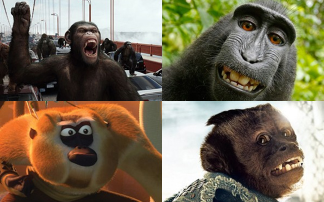 Όταν οι μαϊμούδες γίνονται&#8230; σταρ!