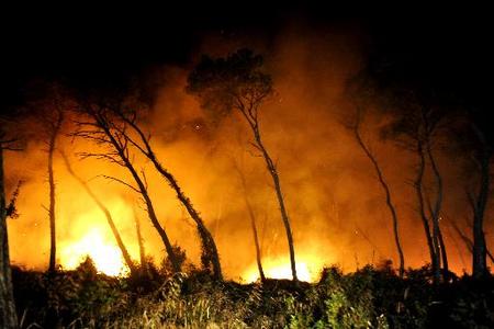 Φωτιά απειλεί σπίτια στις Αφίδνες
