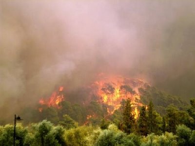 Υπό μερικό έλεγχο η πυρκαγιά στη Βοιωτία