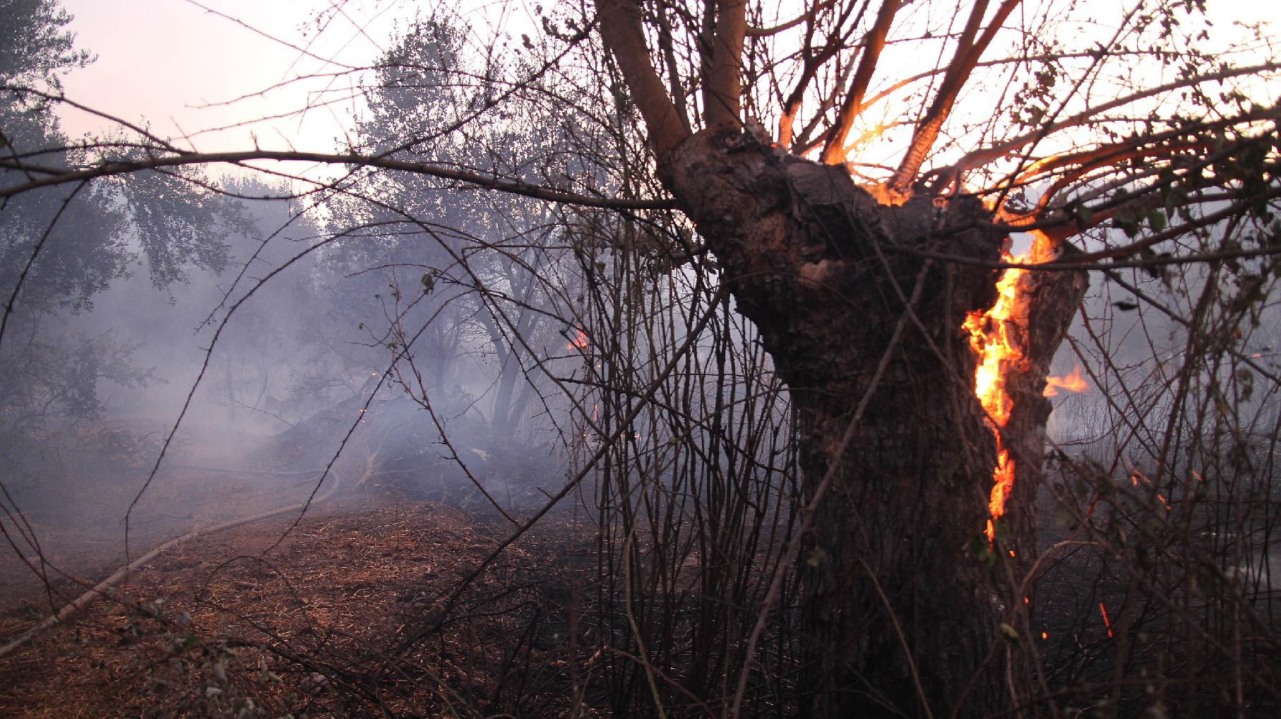 Μεγάλος ο κίνδυνος για πυρκαγιά σε πολλές περιοχές της χώρας