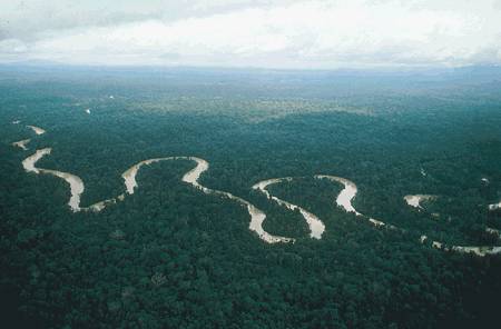 SOS εκπέμπουν τα δάση του Αμαζονίου