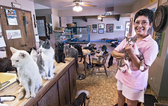 Φιλοξενεί 1.000 γάτες στο σπίτι της