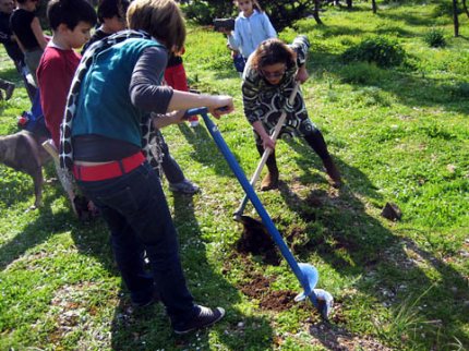 Εθελοντές γεμίζουν δέντρα τη Θεσσαλονίκη