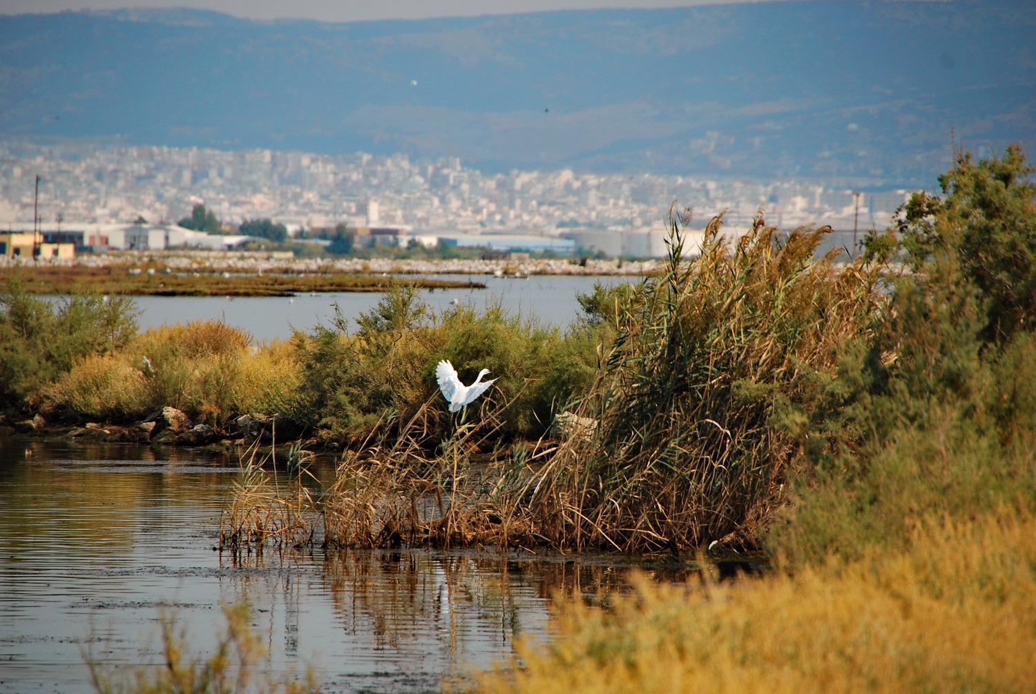 Υπερχείλισε ο Γαλλικός Ποταμός