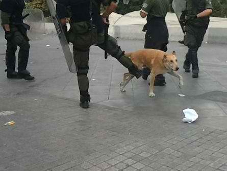 Δεν γλίτωσε από τα ΜΑΤ ούτε ο Λουκάνικος