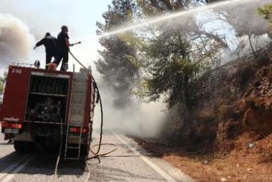 Υπό μερικό έλεγχο η φωτιά στα Βρέλια Αμφίκλειας