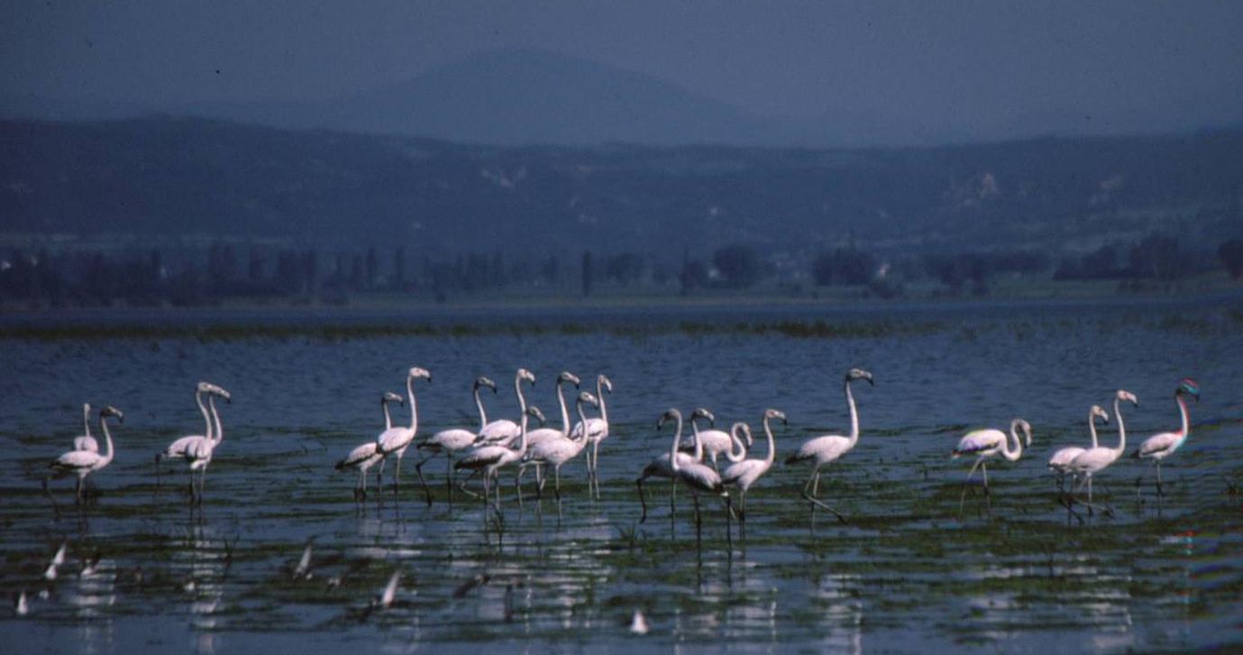 Στο δρόμο της υλοποίησης τα έργα στην Κορώνεια