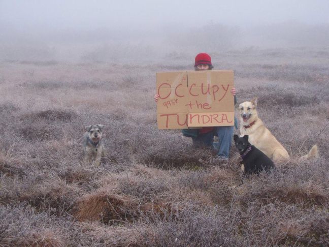 Το κίνημα «Occupy» έφτασε στην τούνδρα της Αλάσκας