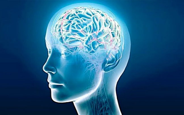 Γονιδιακός «άτλας» ξεσκεπάζει τον εγκέφαλο