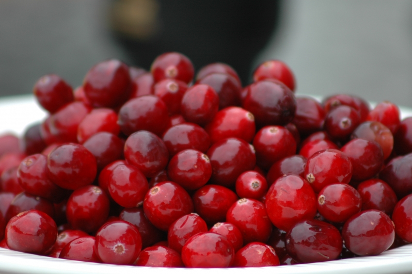 Τα cranberries προστατεύουν από ουρολοιμώξεις